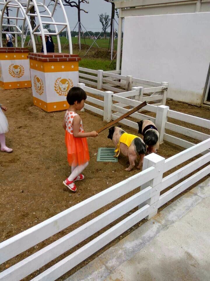 尊凯实业·(中国区)集团公司官网