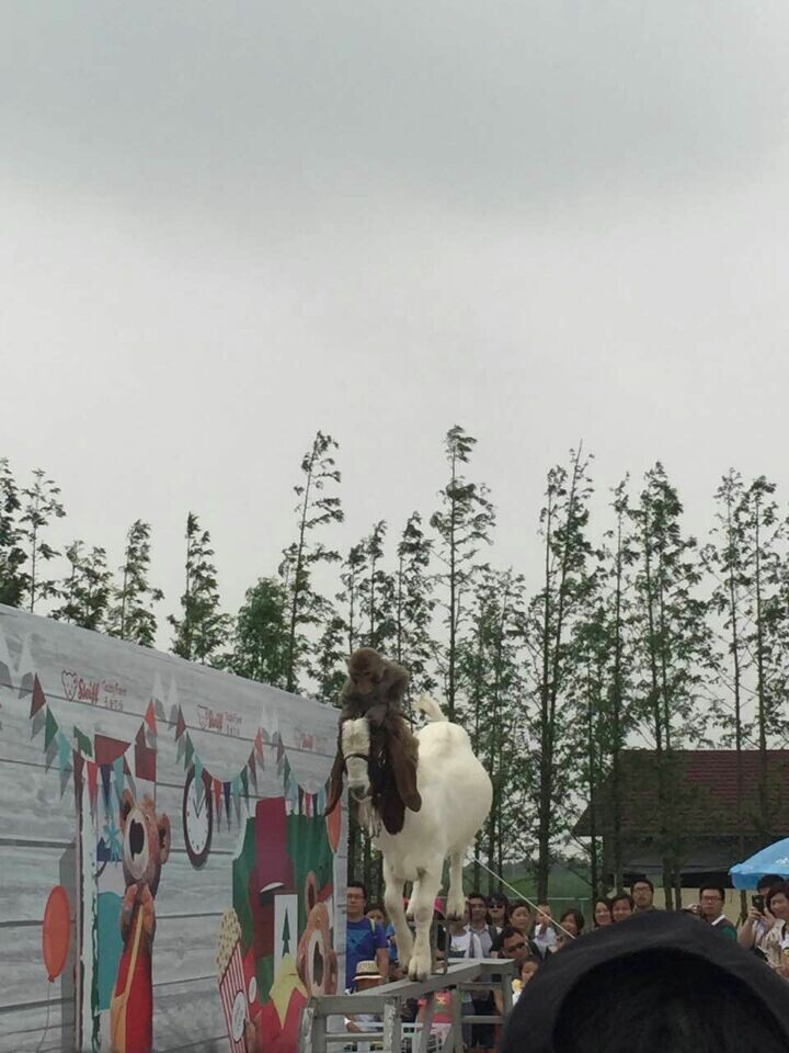 尊凯实业·(中国区)集团公司官网