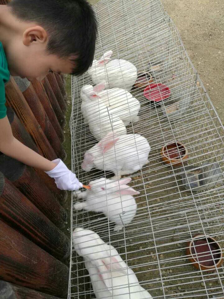 尊凯实业·(中国区)集团公司官网