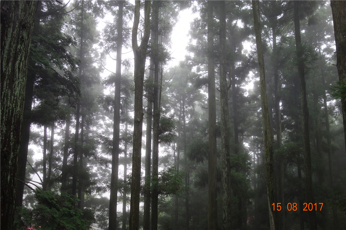 尊凯实业·(中国区)集团公司官网