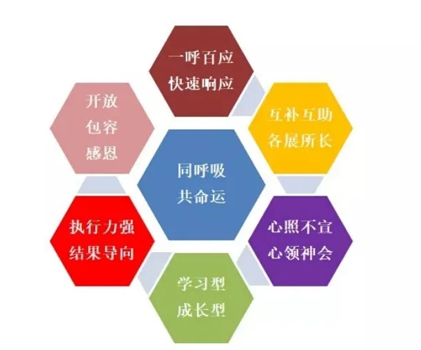 尊凯实业·(中国区)集团公司官网