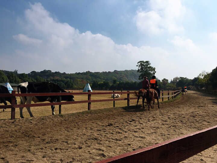 AyGqEyoWHUK85MHpeB1zZjXI2iNLt6TTdrDhKLwq